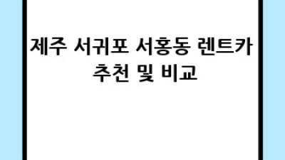 제주 서귀포 렌트카 보험 가입 완벽 가이드